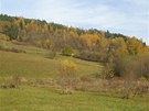 Podzimní les na svahu nad obcí Rejtejn, umava
