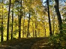 Podzimní procházka, Podkrkonoí, íjen 2013