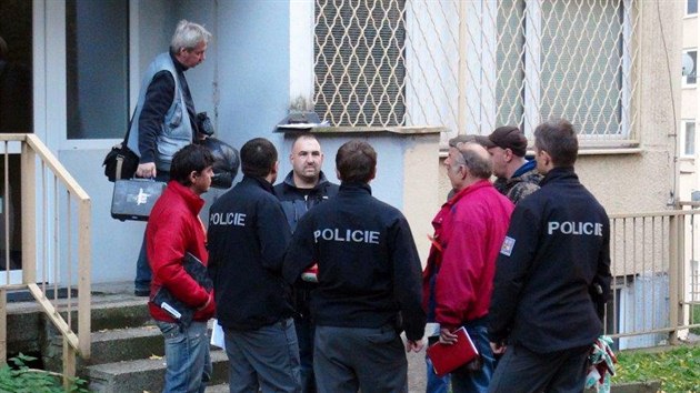Policist zajiuj stopy po pokusu o znsilnn dvky v Kozmkov ulici v prassk Hostivai (17.10.2013)