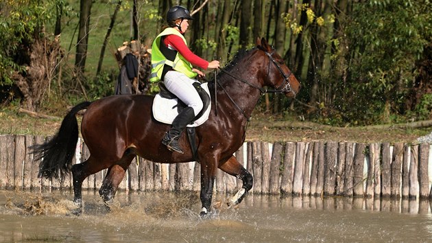 Viktorie Talkov s konm Meggi Miss Award se brod vodn pekkou.