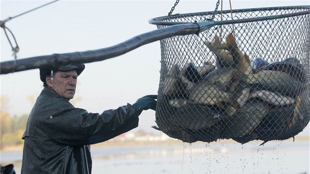 Vlov Hradeckho rybnku u Tovaova na Perovsku pilkal na deset tisc lid. Rybi vylovili zhruba edest tun ryb.