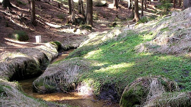 Chodnek k eskmu Nordkapu se vine kolem krsnho potku (vlevo esko, vpravo Nmecko)