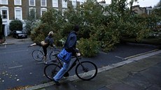 Na severu Londýna prudký vítr vyvrátil desítky strom (28. íjna)