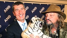 Andrej Babi a éf cirkusu Jaromír Joo slaví s tygím mládtem volební úspch