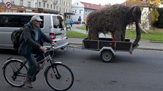 Díky pevozu boními ulikami se mohli lidé setkat s netradiním transportem v...