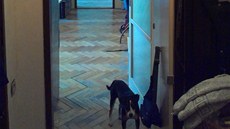 Pokoje jsou pr�chozí, chybí chodbi�ka do kuchyn�. Parkety nejsou v ideálním