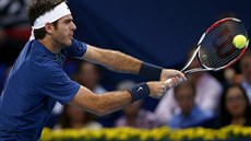 A JE TO DOMA. Argentinský tenista Juan Martín Del Potro slaví titul z turnaje v...