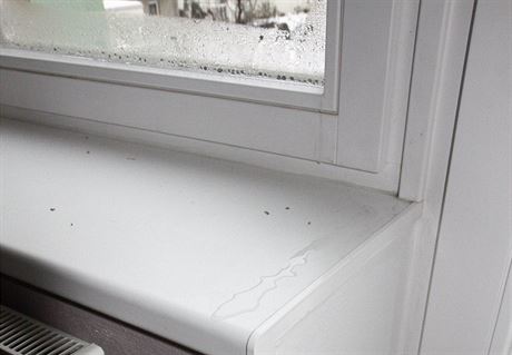 DRUH PBH: Okna vlhnou i pi normov teplot a vlhkosti. Stkajc kondenzt...