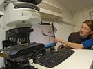 Doktorandka Iva Martincová u mikroskopu.