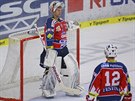 SMUTEK. Gólman Pardubic Du�an Salfický smutní po obdr�ené brance.