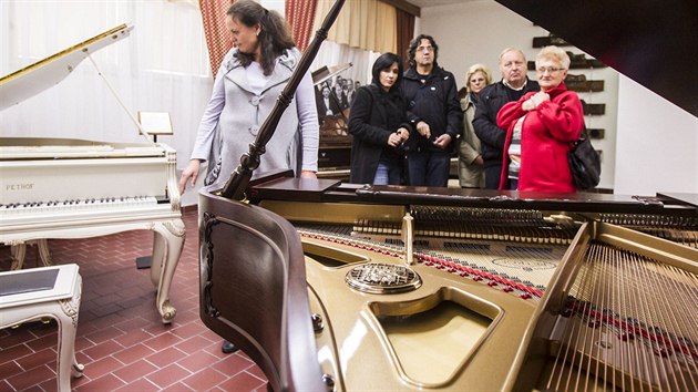 Muzeum Petrof v Hradci Krlov (5. 11. 2013)