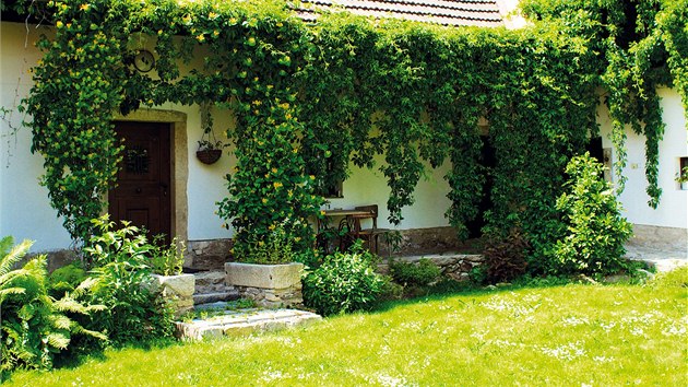 Z�pra�� na chalup� Radom�ra Leszczynsk�ho: r�j bujn� vegetace, neutuchaj�c� d�lo p��rody. 
