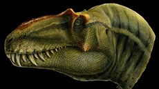 Lebka nov objeveného dinosaura, který dostal jméno Lythronax argestes.