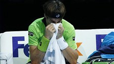 NEDAILO SE. panlský tenista David Ferrer prohrál na Turnaji mistr s