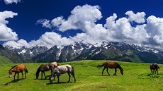 Cestovatelský festival Kolem sv�ta - Kazachstán