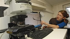 Doktorandka Iva Martincová u mikroskopu.