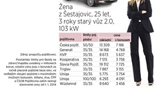 Podívejte se na tyi modelové propoty, kolik bude od ledna stát povinné ruení  u devíti pojioven. tyi pojiovny zatím nemají stanovené ceny od ledna 2014. Ilustraní snímek