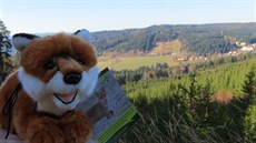 Snímky, které na Facebook poslali milovníci umavy a jejích plyových obyvatel.