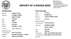 Ornitologický záznam o takzvaném odetu ápa v Burgliebenau v Nmecku.