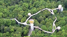Letecký pohled na stezku v korunách strom v Národním parku Hainich