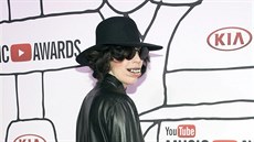 Zpvaka Lady Gaga na Youtube Music Awards opt provokovala. 