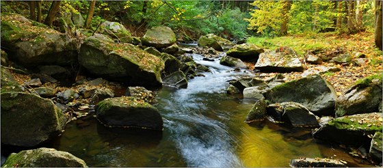 V�t�ina toku Krounky je divoká a nespoutaná. Voda p�eskakuje v kaskádách p�es...