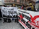 Demonstraci proti neonacistickému pochodu Dlnické mládee Prahou svolala 17....