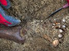 Archeologické vykopávky v Pernerově ulici v pražském Karlíně odhalily tisíce...