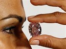 Rový diamant v enev vydraili za 1,5 miliardy. Je to nový rekord.