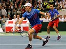 MOMENTKA. Tomá Berdych a Radek tpánek ve tyhe bhem finále Davis Cupu