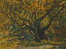 Josef Váchal, barevný devoryt z cyklu umava umírající a romantická, 1931