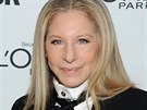 Barbra Streisandová (11. listopadu 2013)