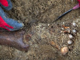 Archeologick vykopvky v Pernerov ulici v praskm Karln odhalily tisce...