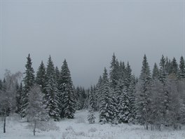 Sníh napadl i na dalím míst na umav, na Churáov. Podle meteorolog zde...