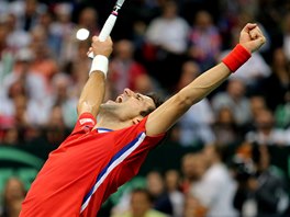 VTZSTV. Novak Djokovi slav ve finle Davis Cupu zisk bodu pro Srbsko. 