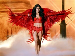 Adriana Lima na pehlídce Victoria's Secret (13. listopadu 2013)