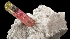 tvrt milionu. Tolik si musí pipravit zájemce o tento elbait, který pochází z...