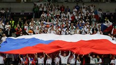 ČEŠI, DO TOHO! Na bělehradské finále Davis Cupu přijelo i hodně českých...