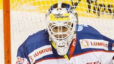 Branká� Pardubic Martin R��i�ka ve st�ehu. 