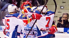 Radost hokejist� Pardubic