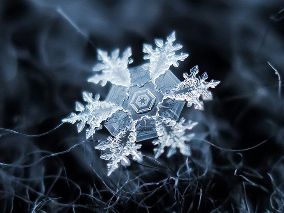 Sněhová vločka - univerzální symbol chladu a mrazu