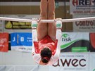 Rakouská gymnastka Elisa Hämmerleová na bradlech.