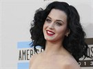 Katy Perry na American Music Awards v Los Angeles (24. listopadu 2013)