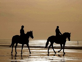 NA KONI. Milovníci koní si uívají vyjíku na pobeí ostrova Romo v Dánsku.