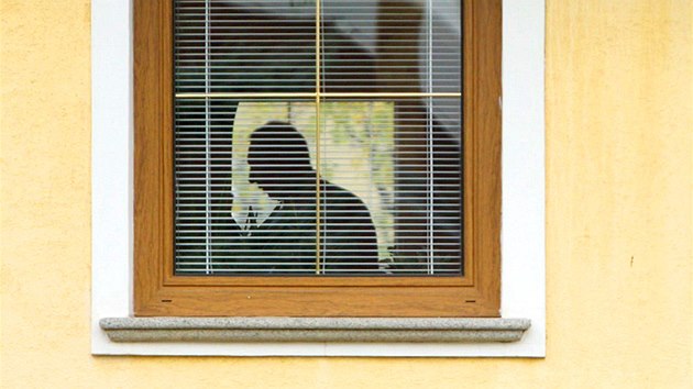 Silueta exposlance Petra Kotta v jeho domě v Rudné u Prahy krátce po propuštění z vazební věznice. (21. listopadu 2013)