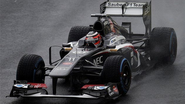 RYCHL I NA VOD. Nico Hlkenberg s vozem Sauber ve tetm trninku Velk ceny Brazlie F1.