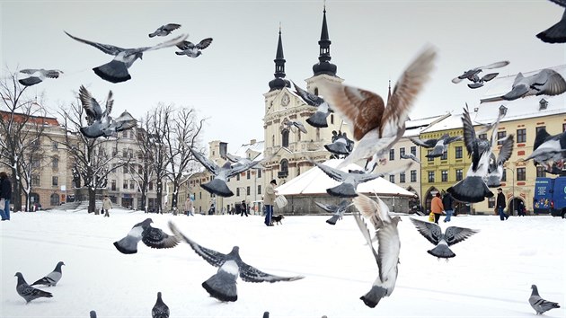 Fotografie Vladimra Kunce pouit v nov knize o Jihlav.