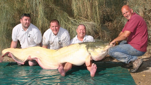 Šťastný rybář Bernie Campbell (druhý zprava) se svým synem Garym (druhý zleva) pózuje u největšího uloveného sumce albína na světě. Ryba měřila 244 centimetrů a vážila 94 kilo.