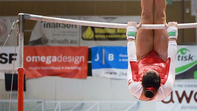 Rakousk gymnastka Elisa Hmmerleov na bradlech.