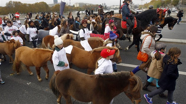 Děti vedou poníky na protestu proti zvýšení DPH v jezdectví. (Paříž, 24. listopadu 2013)